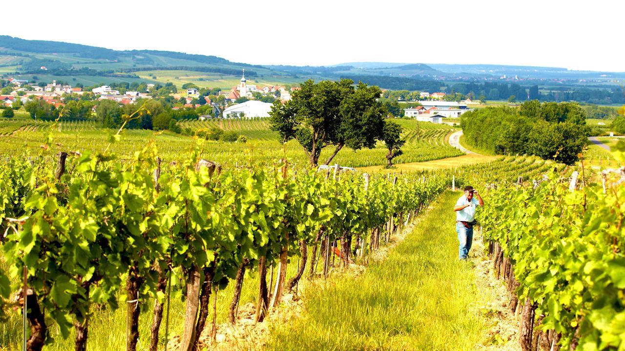 Iby-Lehrner Wein-Gut Und Wein-Traeumerei Horitschon Exterior photo